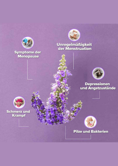 Zühre Ana Keuschesswasser